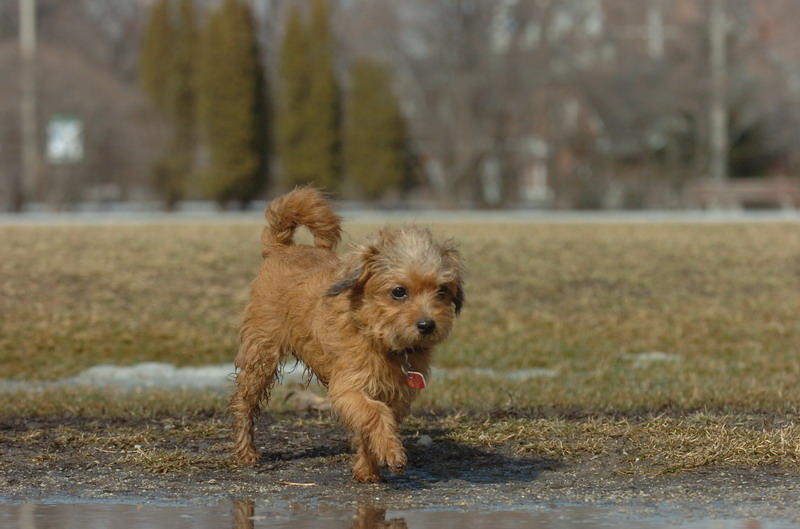 Mar13_07_949.JPG