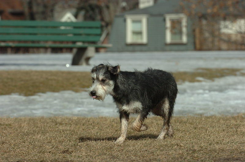 Mar13_07_951.JPG