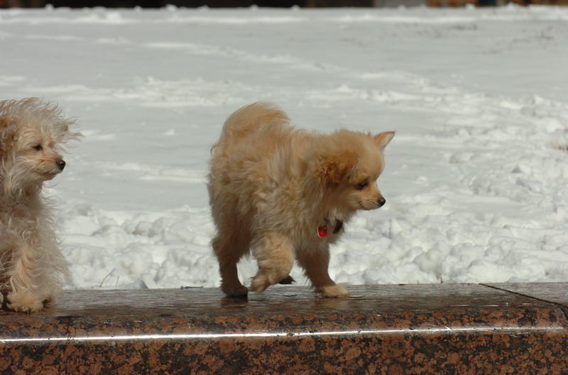 Mar17_07_1228.JPG