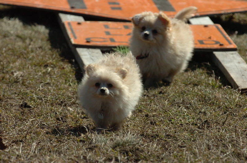 Mar20_07_960.JPG