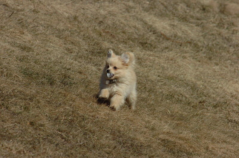 Mar20_07_560.JPG