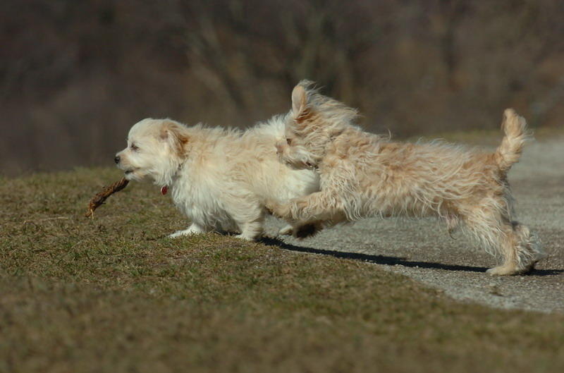 Mar29_07_420.JPG