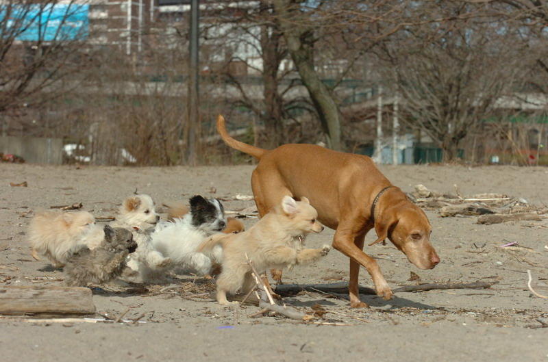 Mar31_07_332.JPG