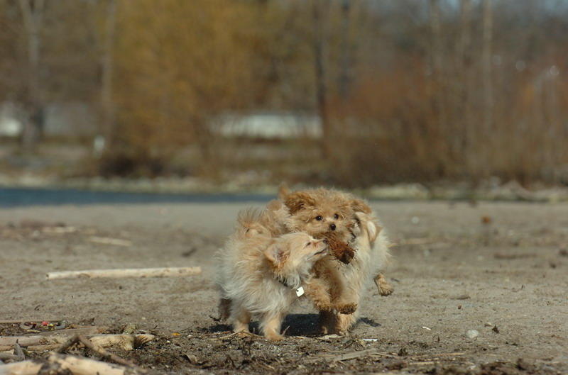 Apr30_07_584.JPG
