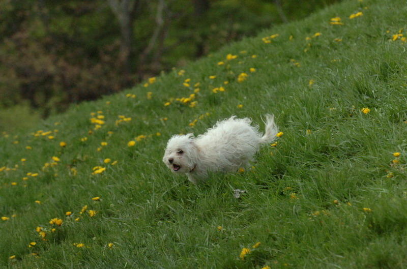 May12_07_960.JPG