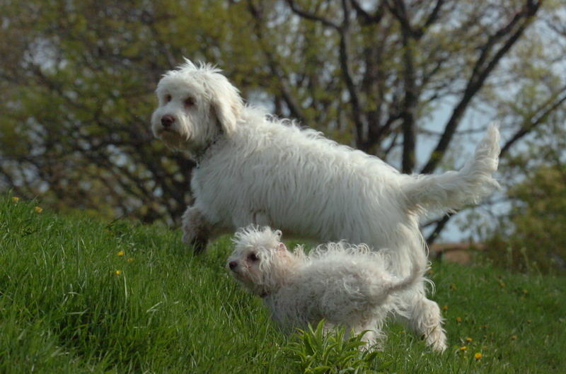 May12_07_729.JPG