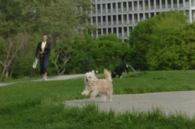 May12_07_246.JPG