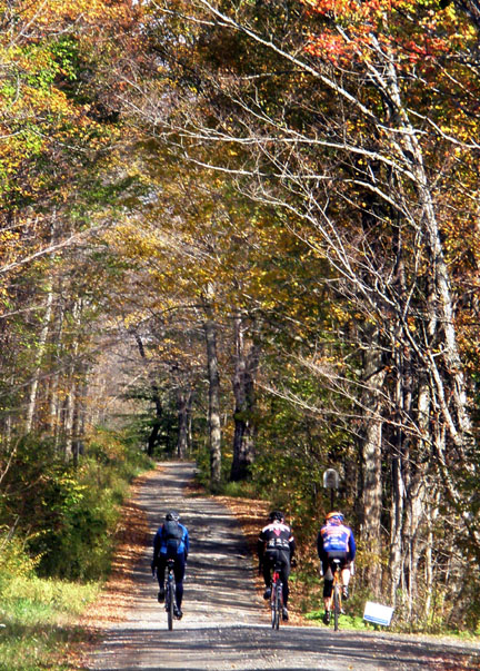 PA041503.JPG