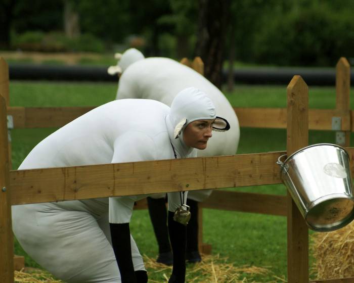 Les Moutons 00145.JPG