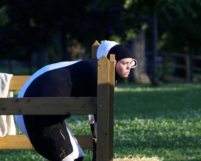 Les Moutons 00204.JPG