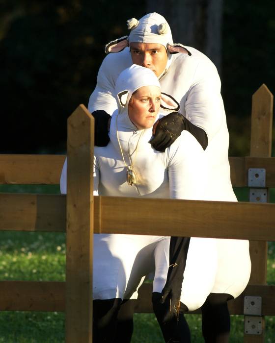 Les Moutons 00229.JPG