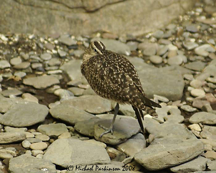 BioDome 07918.JPG