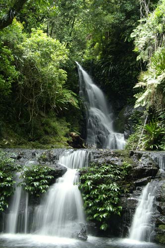 ALABAMA FALLS#2