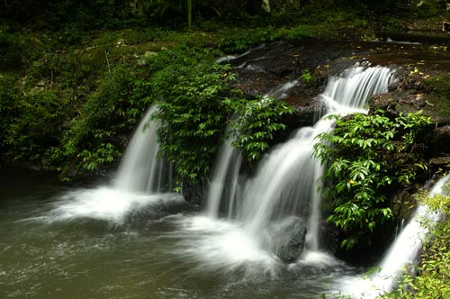 ALABAMA FALLS#1