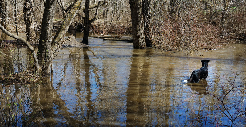 Flooding at Jackie Parker