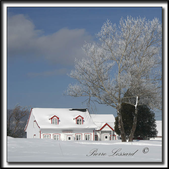 _MG_4724b .jpg  -  UNE BELLE JOURNE DHIVER  / A BEAUTIFUL WINTER DAY