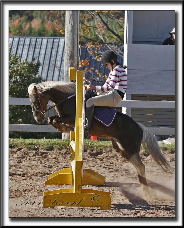 _MG_5369a .jpg   -   HI! HA! ...  KATHERINE LIRETTE