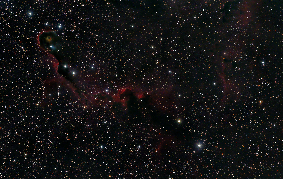 Elephant Trunk Nebula
