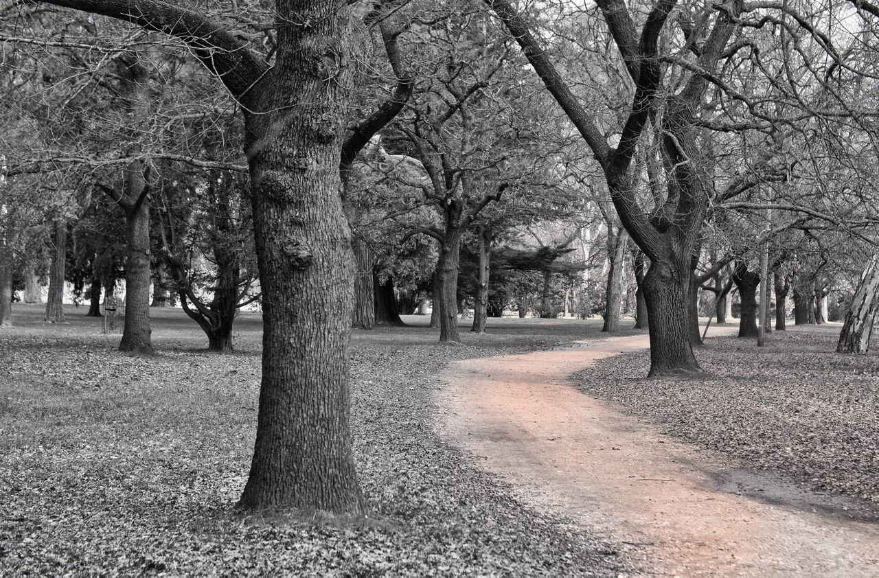 Castlemaine botanical gardens 25.jpg