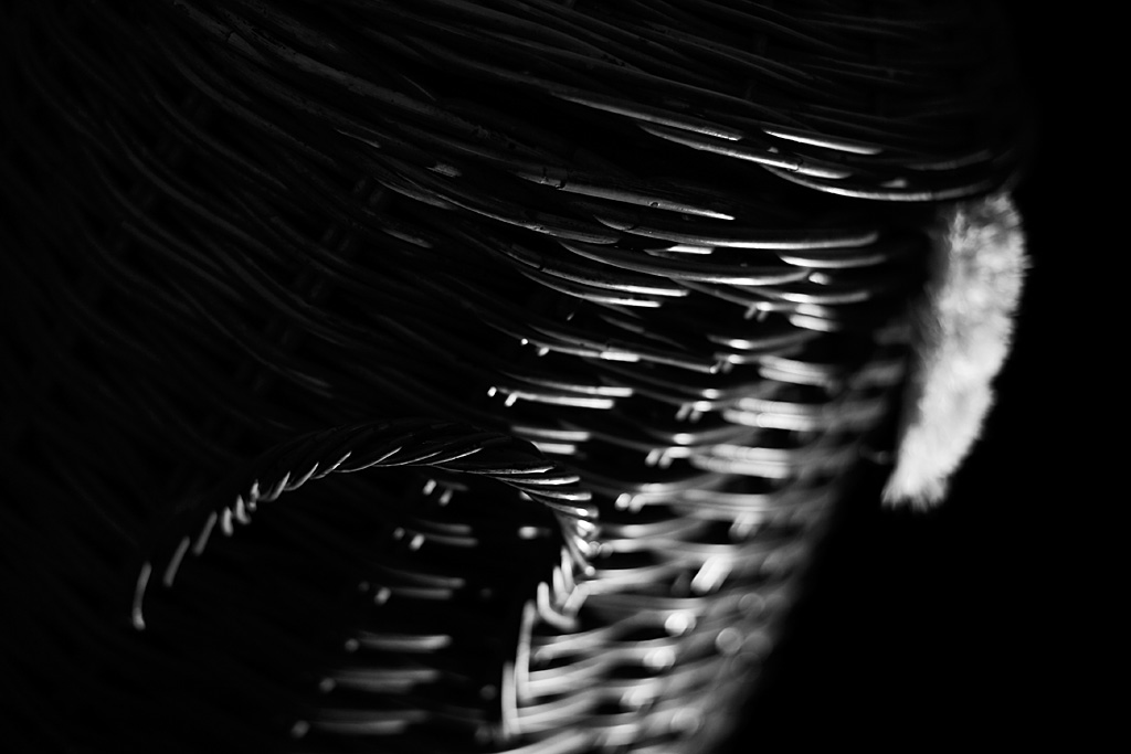 20080809 - Laundry Day