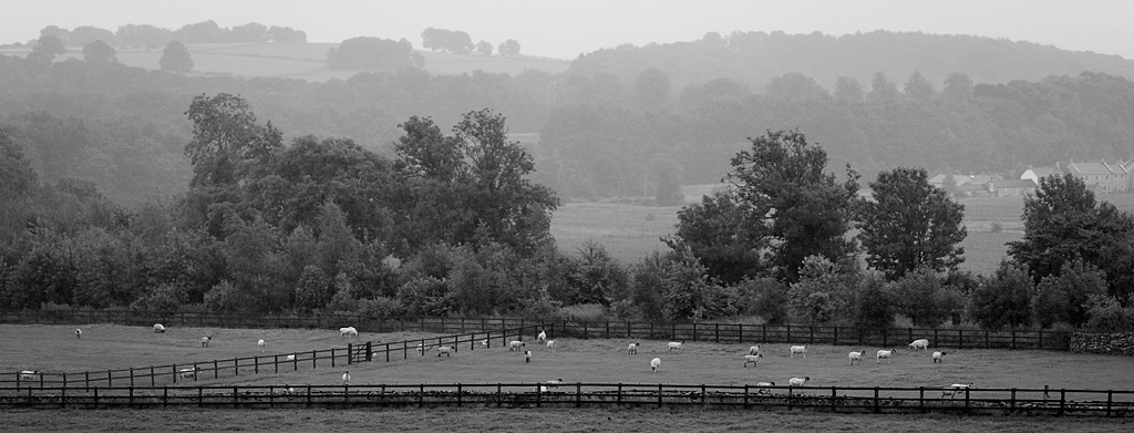 20080812 - Rainy Days