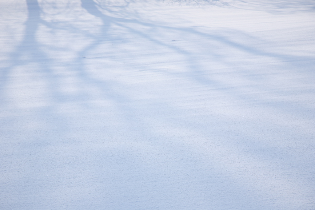 20090202 - Snow 06
