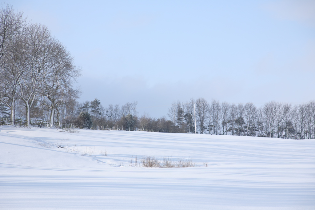 20090202 - Snow 11