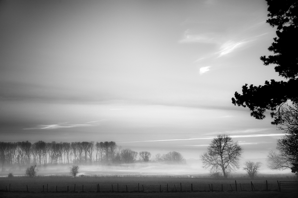20080212 - Mist