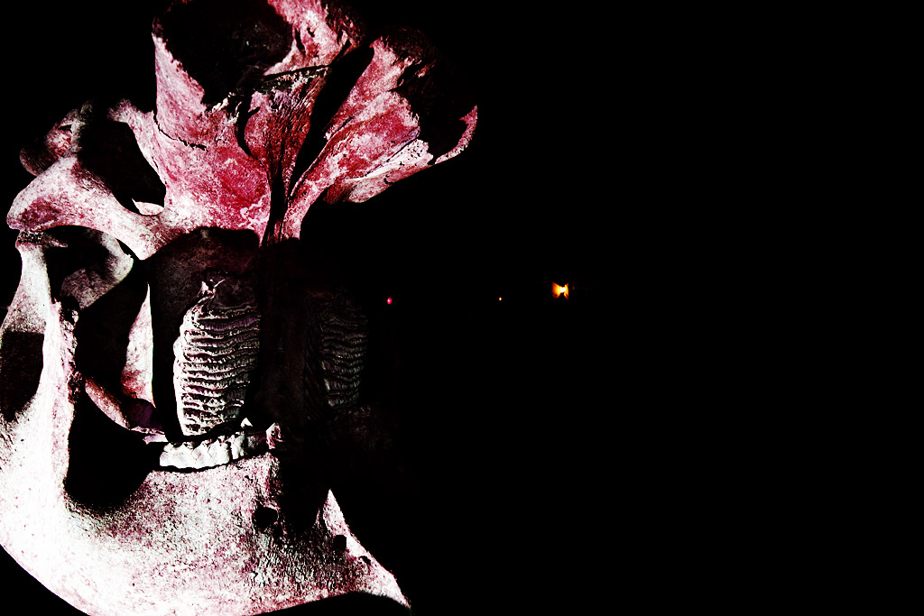20080306 - TITTC: Sinister