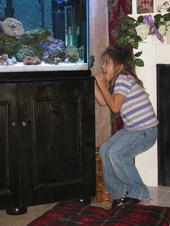 marine_aquariums
