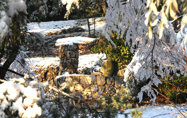 im Garten / in the garden