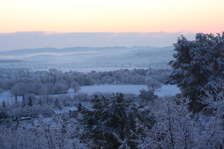 Wintermorgen / winter morning