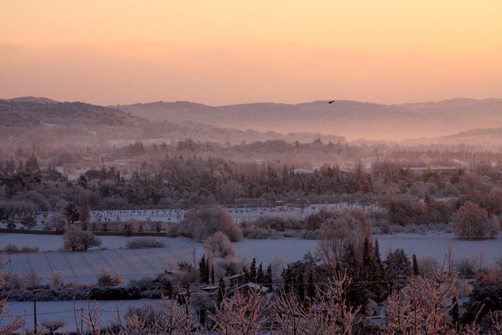 Morgenlicht / morning light