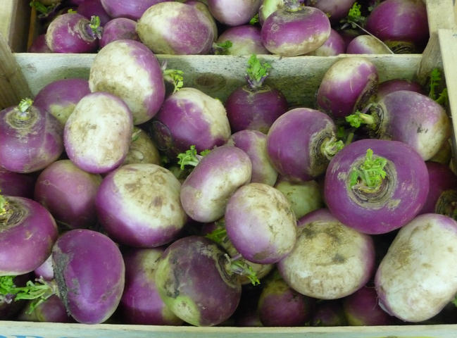 Speiserben / white turnips / navets