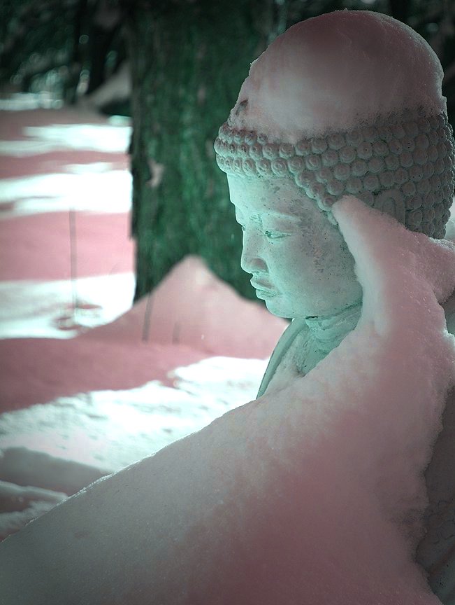 Snowed Under Buddha