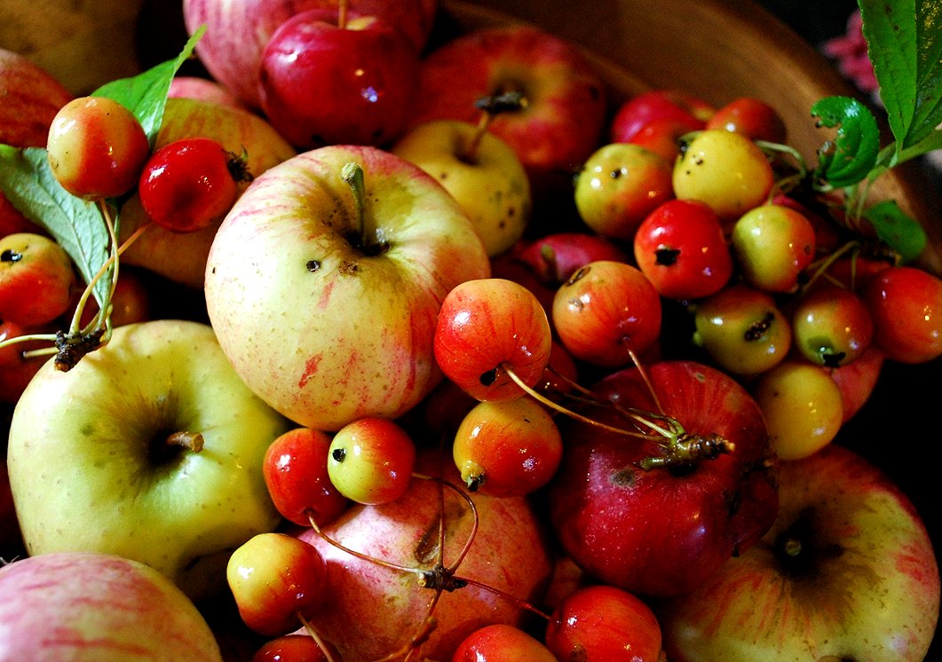 Hedgerow Bounty