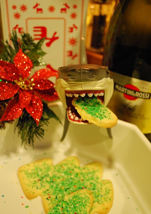 Dont Go Near The Cookies