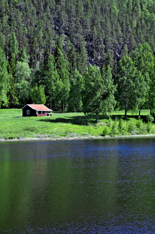 Jmtland by summer