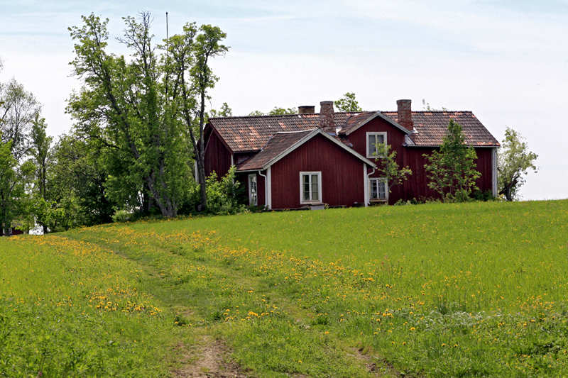 Jmtland by summer