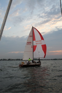 IMG_7907.jpg