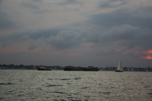 IMG_7924.jpg