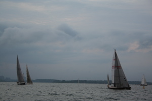 IMG_7932.jpg