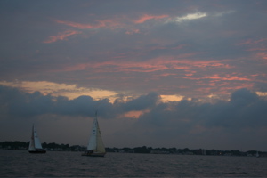 IMG_7938.jpg