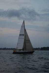 IMG_7940.jpg