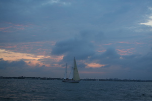 IMG_7948.jpg