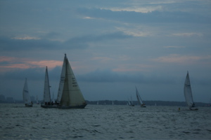 IMG_7950.jpg