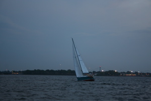 IMG_7951.jpg