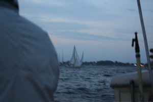 IMG_7955.jpg