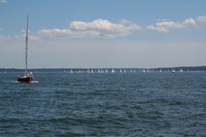 IMG_8204.jpg