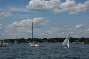 IMG_8206.jpg